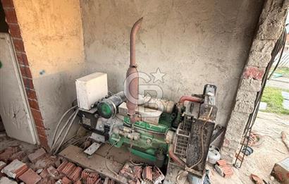 Üretime Hazır! 5 Dönüm Çiftlik – Tavuk & Büyükbaş Hayvan Tesisi