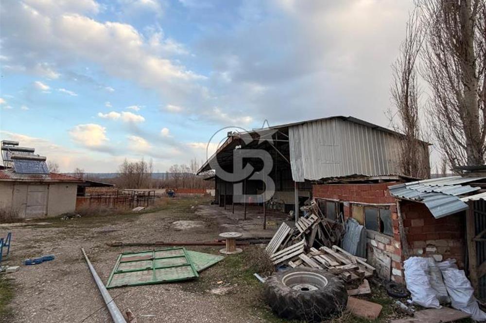 Üretime Hazır! 5 Dönüm Çiftlik – Tavuk & Büyükbaş Hayvan Tesisi