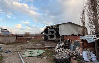 Üretime Hazır! 5 Dönüm Çiftlik – Tavuk & Büyükbaş Hayvan Tesisi