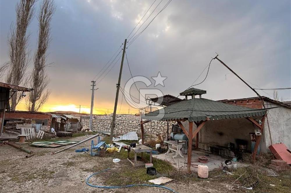 Üretime Hazır! 5 Dönüm Çiftlik – Tavuk & Büyükbaş Hayvan Tesisi