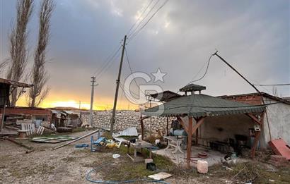 Üretime Hazır! 5 Dönüm Çiftlik – Tavuk & Büyükbaş Hayvan Tesisi