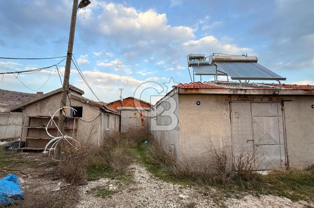 Üretime Hazır! 5 Dönüm Çiftlik – Tavuk & Büyükbaş Hayvan Tesisi