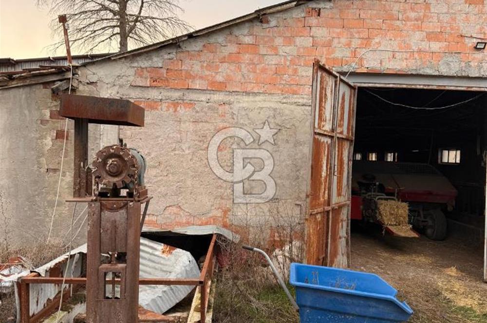 Üretime Hazır! 5 Dönüm Çiftlik – Tavuk & Büyükbaş Hayvan Tesisi