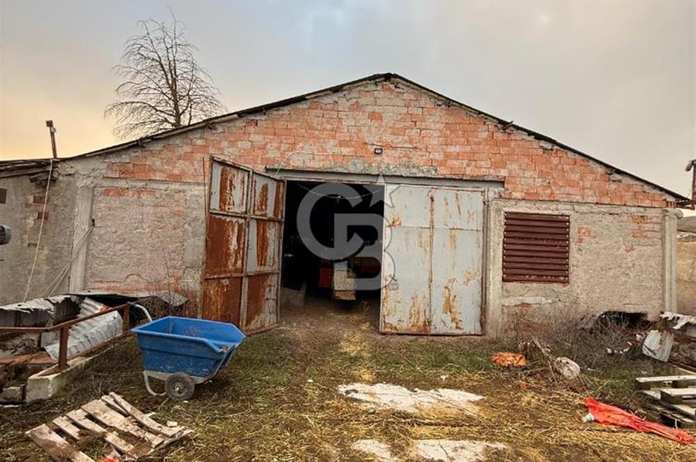 Üretime Hazır! 5 Dönüm Çiftlik – Tavuk & Büyükbaş Hayvan Tesisi