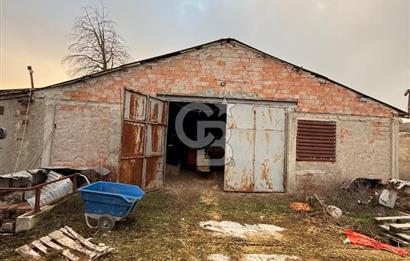 Üretime Hazır! 5 Dönüm Çiftlik – Tavuk & Büyükbaş Hayvan Tesisi