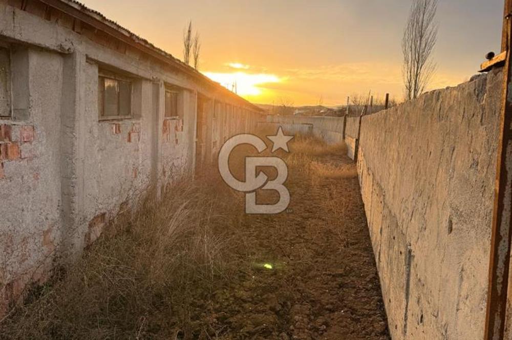 Üretime Hazır! 5 Dönüm Çiftlik – Tavuk & Büyükbaş Hayvan Tesisi