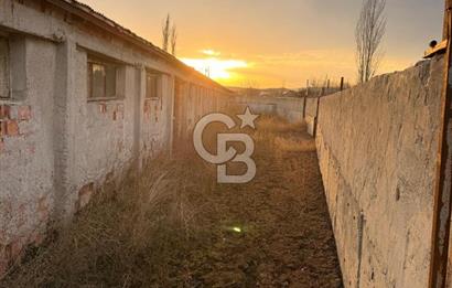 Üretime Hazır! 5 Dönüm Çiftlik – Tavuk & Büyükbaş Hayvan Tesisi