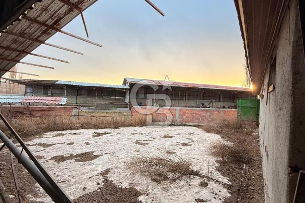 Üretime Hazır! 5 Dönüm Çiftlik – Tavuk & Büyükbaş Hayvan Tesisi