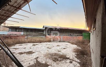 Üretime Hazır! 5 Dönüm Çiftlik – Tavuk & Büyükbaş Hayvan Tesisi