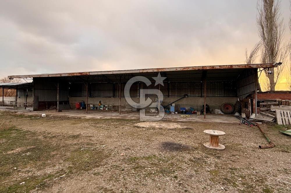 Üretime Hazır! 5 Dönüm Çiftlik – Tavuk & Büyükbaş Hayvan Tesisi