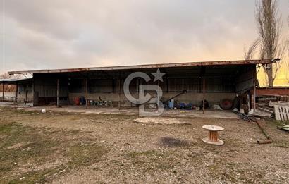 Üretime Hazır! 5 Dönüm Çiftlik – Tavuk & Büyükbaş Hayvan Tesisi