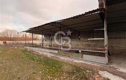 Üretime Hazır! 5 Dönüm Çiftlik – Tavuk & Büyükbaş Hayvan Tesisi