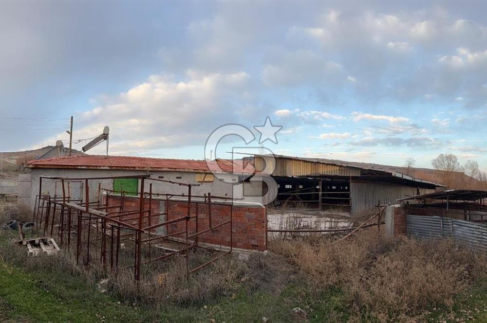 Üretime Hazır! 5 Dönüm Çiftlik – Tavuk & Büyükbaş Hayvan Tesisi