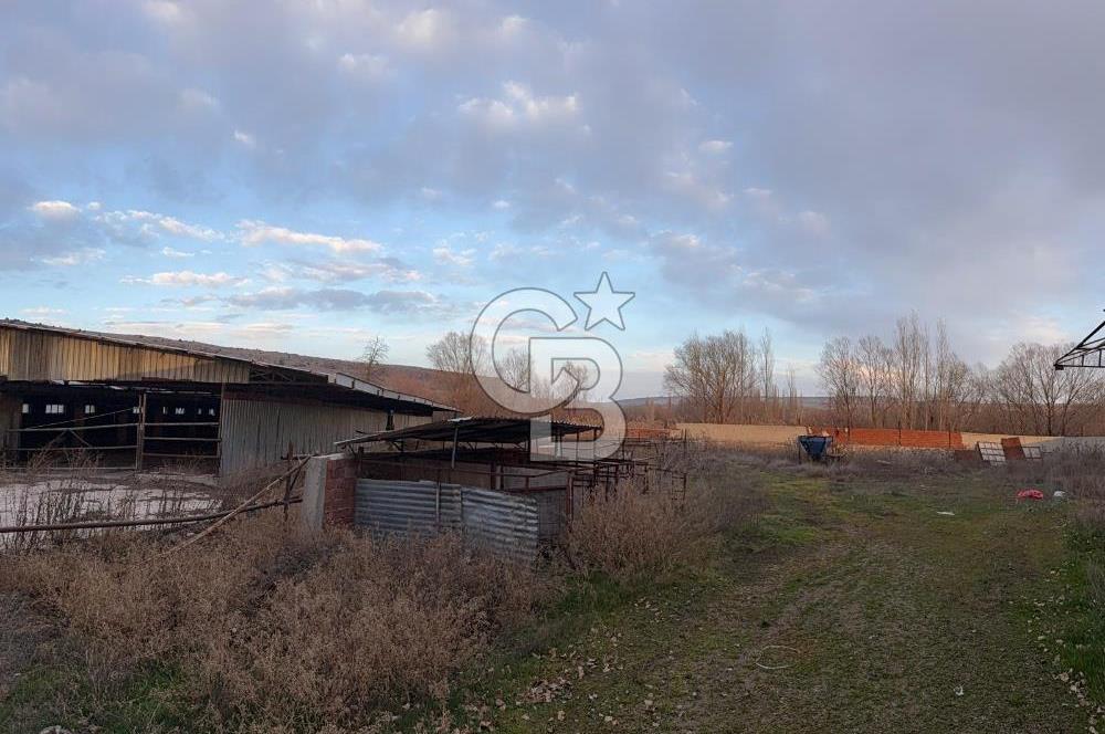 Üretime Hazır! 5 Dönüm Çiftlik – Tavuk & Büyükbaş Hayvan Tesisi