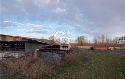 Üretime Hazır! 5 Dönüm Çiftlik – Tavuk & Büyükbaş Hayvan Tesisi