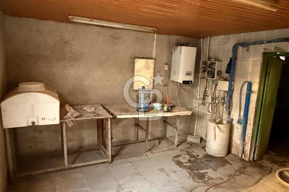 Üretime Hazır! 5 Dönüm Çiftlik – Tavuk & Büyükbaş Hayvan Tesisi