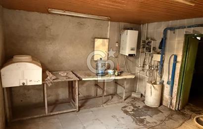 Üretime Hazır! 5 Dönüm Çiftlik – Tavuk & Büyükbaş Hayvan Tesisi