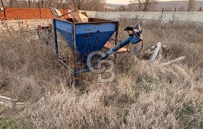 Üretime Hazır! 5 Dönüm Çiftlik – Tavuk & Büyükbaş Hayvan Tesisi