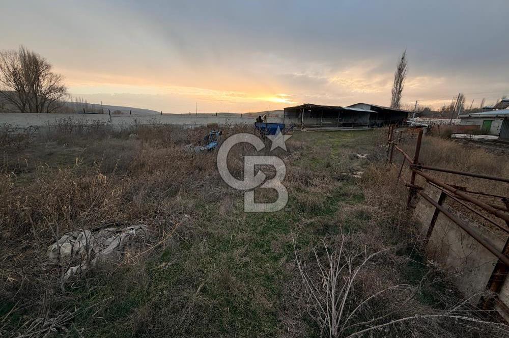 Üretime Hazır! 5 Dönüm Çiftlik – Tavuk & Büyükbaş Hayvan Tesisi