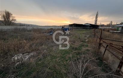 Üretime Hazır! 5 Dönüm Çiftlik – Tavuk & Büyükbaş Hayvan Tesisi