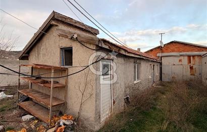 Üretime Hazır! 5 Dönüm Çiftlik – Tavuk & Büyükbaş Hayvan Tesisi