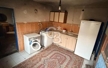 Üretime Hazır! 5 Dönüm Çiftlik – Tavuk & Büyükbaş Hayvan Tesisi