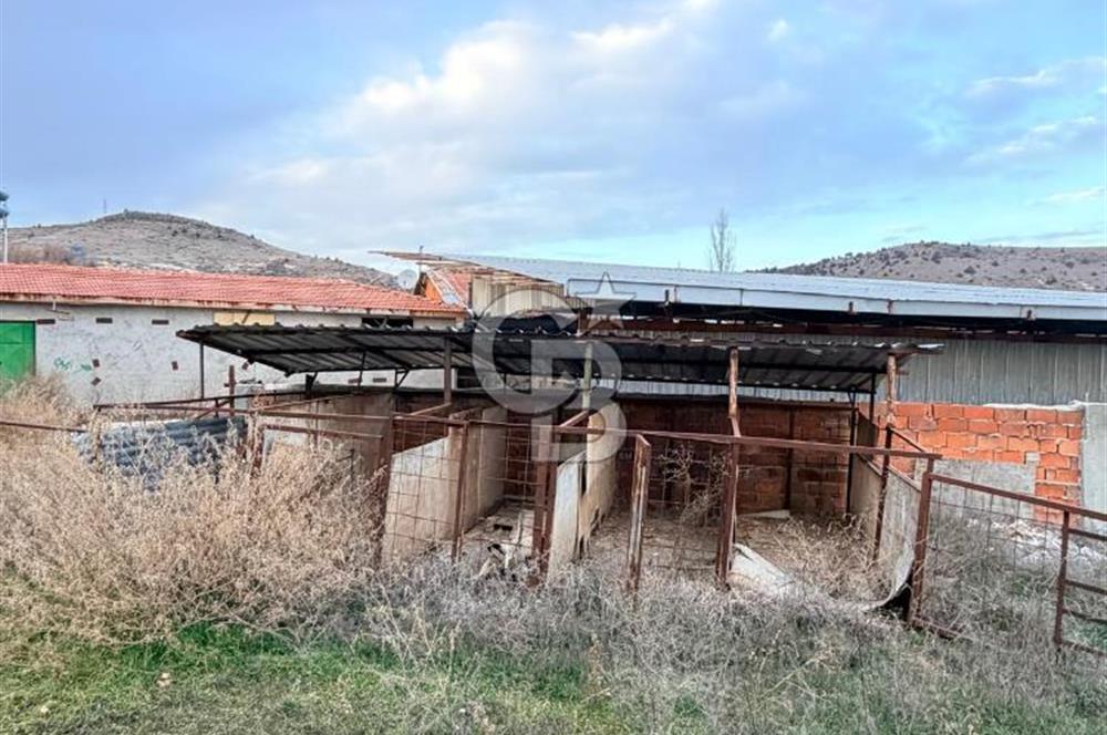 Üretime Hazır! 5 Dönüm Çiftlik – Tavuk & Büyükbaş Hayvan Tesisi