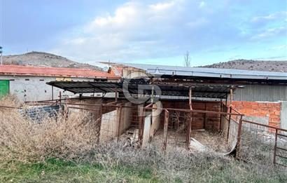 Üretime Hazır! 5 Dönüm Çiftlik – Tavuk & Büyükbaş Hayvan Tesisi