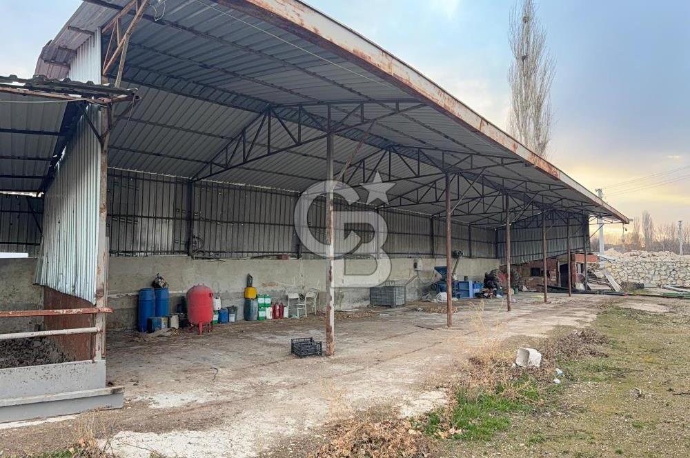 Üretime Hazır! 5 Dönüm Çiftlik – Tavuk & Büyükbaş Hayvan Tesisi