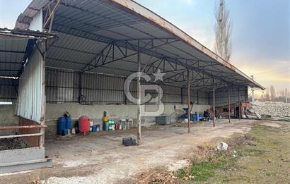 Üretime Hazır! 5 Dönüm Çiftlik – Tavuk & Büyükbaş Hayvan Tesisi