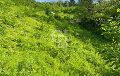 TRABZON UĞURLU'DA YOLA CEPHESİ OLAN YATIRIMLIK SATILIK ARAZİ