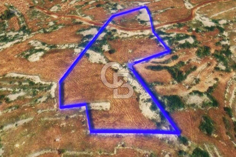 Mersin, Tarsus, Karakutuk'te Hazine kazanimli Tarla