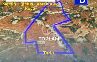 Mersin, Tarsus, Karakutuk'te Hazine kazanimli Tarla