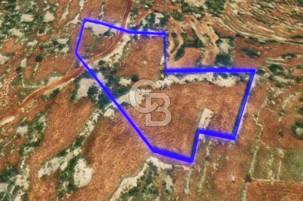 Mersin, Tarsus, Karakutuk'te Hazine kazanimli Tarla