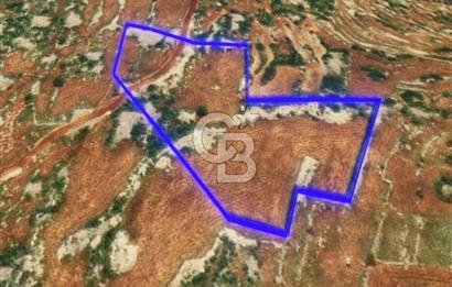 Mersin, Tarsus, Karakutuk'te Hazine kazanimli Tarla