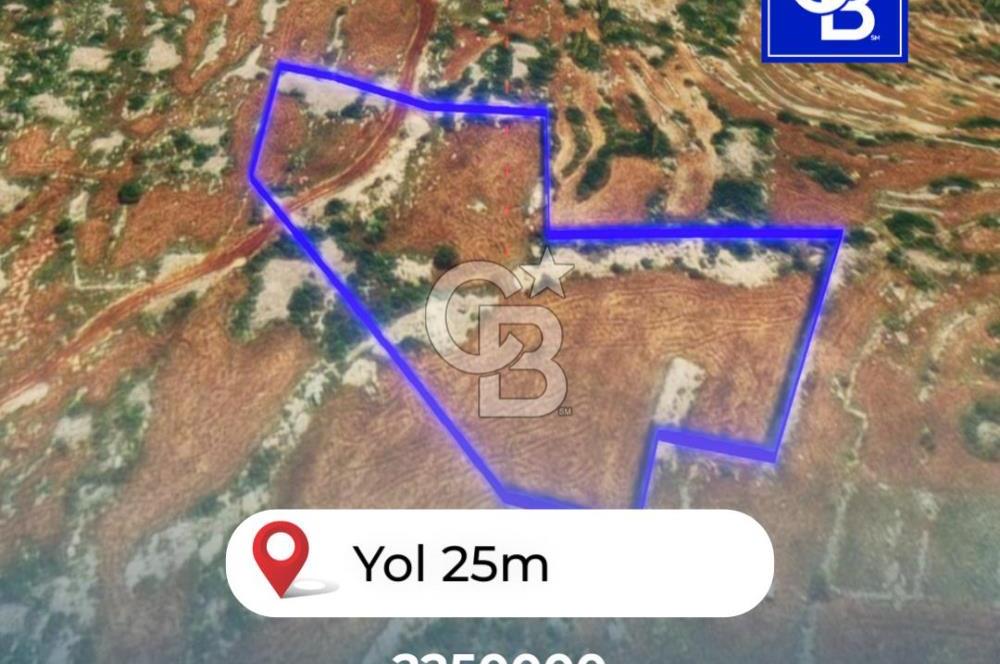 Mersin, Tarsus, Karakutuk'te Hazine kazanimli Tarla