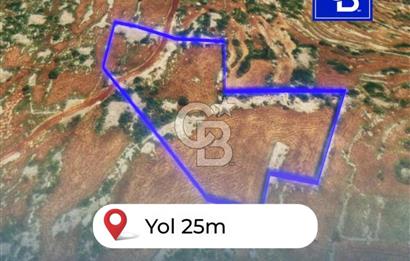 Mersin, Tarsus, Karakutuk'te Hazine kazanimli Tarla