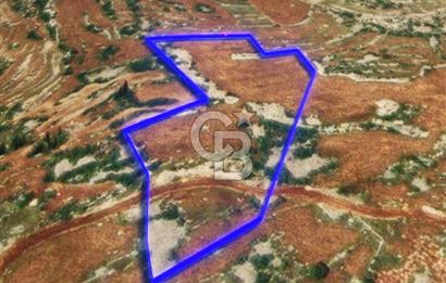 Mersin, Tarsus, Karakutuk'te Hazine kazanimli Tarla