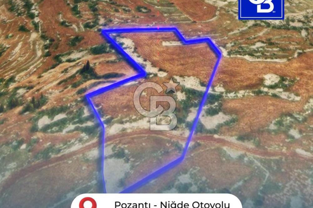 Mersin, Tarsus, Karakutuk'te Hazine kazanimli Tarla