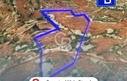 Mersin, Tarsus, Karakutuk'te Hazine kazanimli Tarla