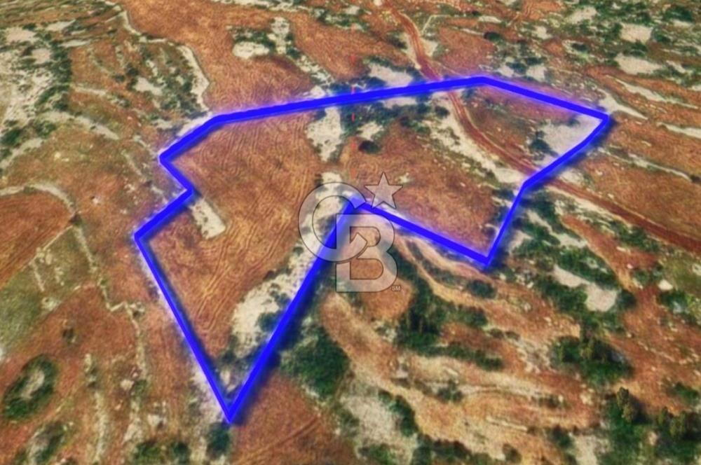 Mersin, Tarsus, Karakutuk'te Hazine kazanimli Tarla