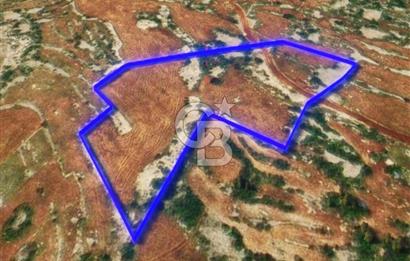 Mersin, Tarsus, Karakutuk'te Hazine kazanimli Tarla