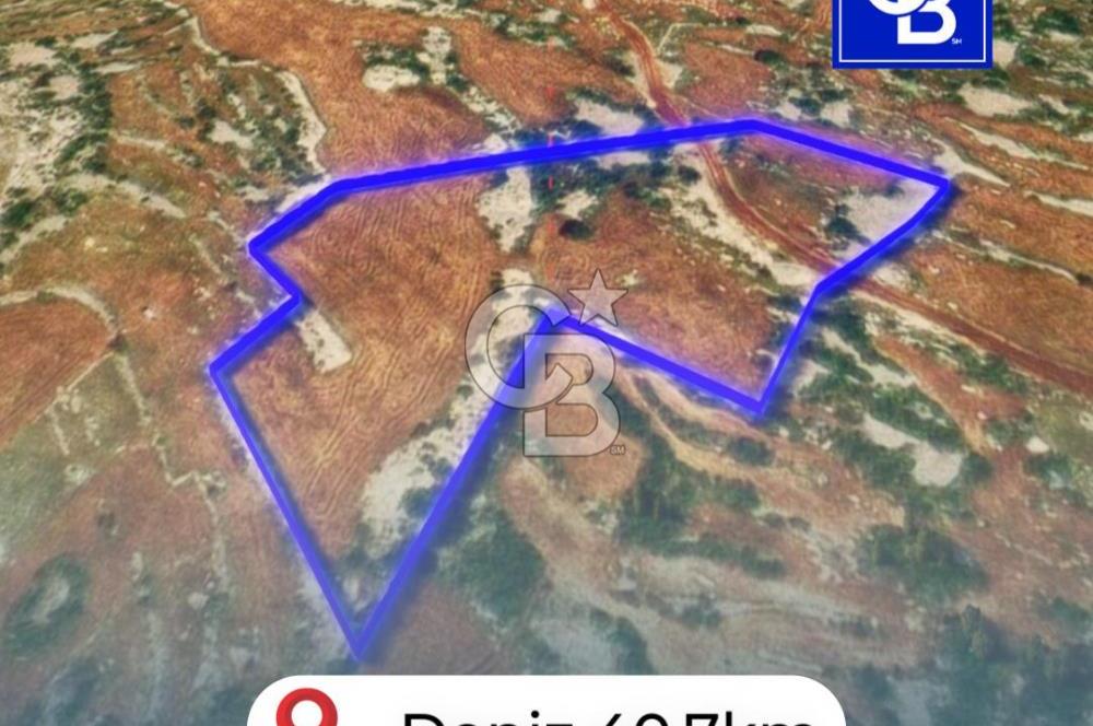 Mersin, Tarsus, Karakutuk'te Hazine kazanimli Tarla