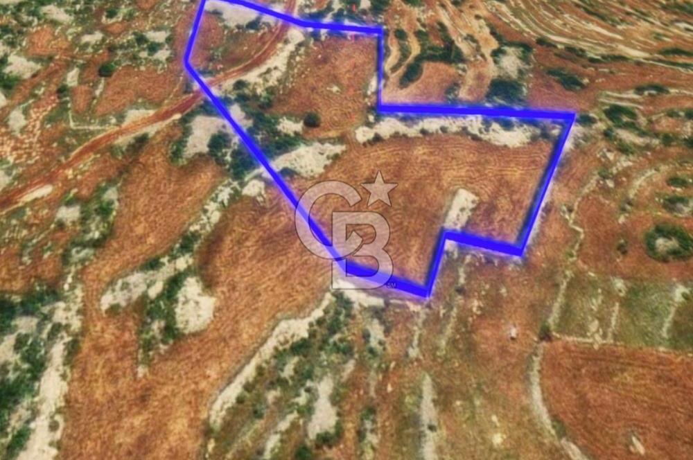 Mersin, Tarsus, Karakutuk'te Hazine kazanimli Tarla