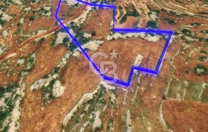 Mersin, Tarsus, Karakutuk'te Hazine kazanimli Tarla