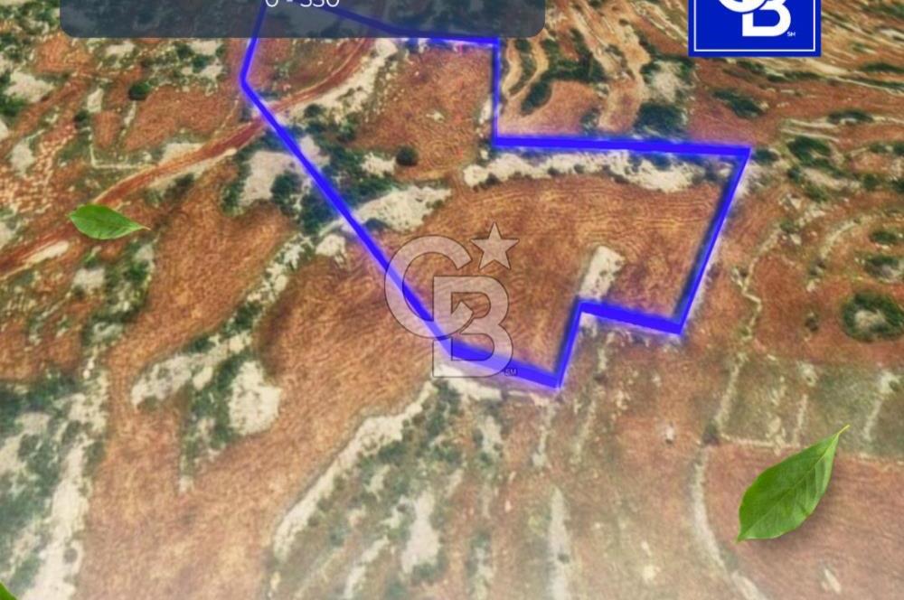 Mersin, Tarsus, Karakutuk'te Hazine kazanimli Tarla