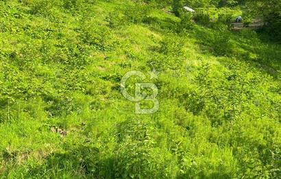 TRABZON UĞURLU'DA YOLA CEPHESİ OLAN YATIRIMLIK SATILIK ARAZİ