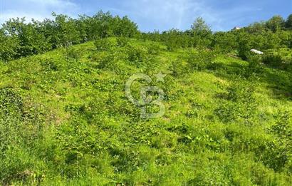 TRABZON UĞURLU'DA YOLA CEPHESİ OLAN YATIRIMLIK SATILIK ARAZİ
