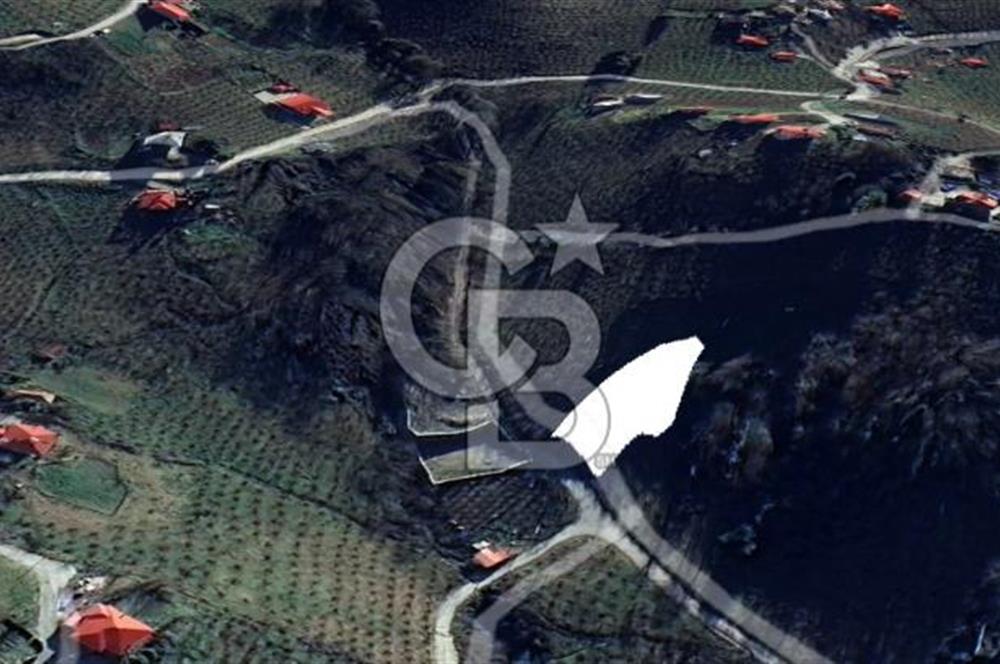 TRABZON UĞURLU'DA YOLA CEPHESİ OLAN YATIRIMLIK SATILIK ARAZİ