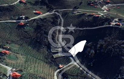 TRABZON UĞURLU'DA YOLA CEPHESİ OLAN YATIRIMLIK SATILIK ARAZİ